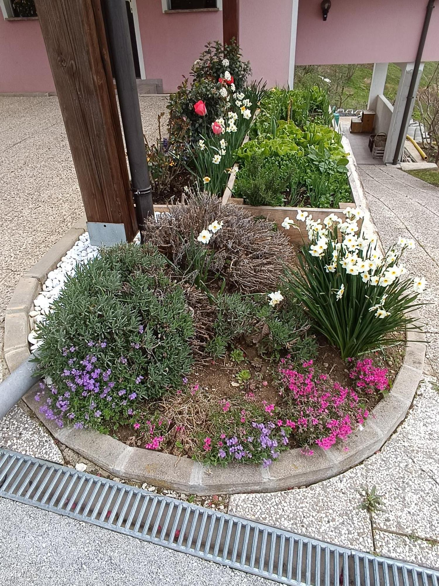 Hiska Na Gorci Apartment Podcetrtek Luaran gambar